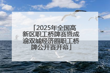 2025年全国高新区职工桥牌赛暨成渝双城经济圈职工桥牌公开赛开幕