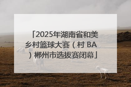 2025年湖南省和美乡村篮球大赛（村 BA）郴州市选拔赛闭幕