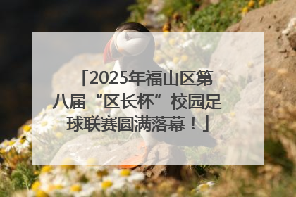 2025年福山区第八届“区长杯”校园足球联赛圆满落幕！