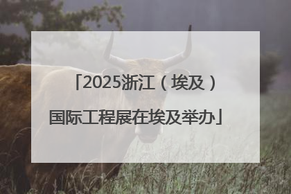 2025浙江（埃及）国际工程展在埃及举办