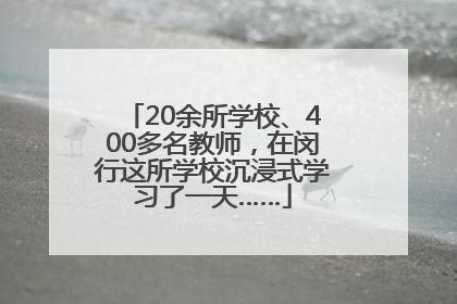 20余所学校、400多名教师，在闵行这所学校沉浸式学习了一天……