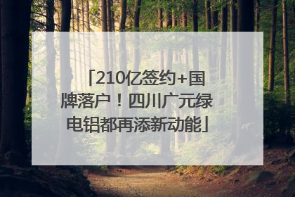 210亿签约+国牌落户！四川广元绿电铝都再添新动能