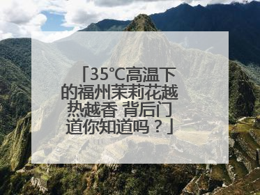 35℃高温下的福州茉莉花越热越香 背后门道你知道吗？