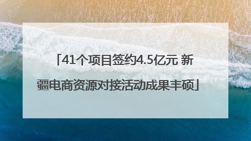 41个项目签约4.5亿元 新疆电商资源对接活动成果丰硕