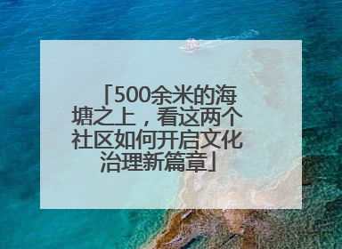 500余米的海塘之上，看这两个社区如何开启文化治理新篇章