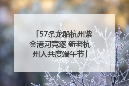 57条龙船杭州紫金港河竞逐 新老杭州人共度端午节