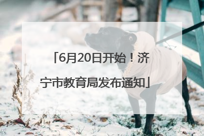 6月20日开始！济宁市教育局发布通知