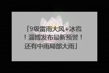 9级雷雨大风+冰雹！淄博发布最新预警！还有中雨局部大雨