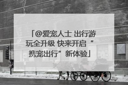 @爱宠人士 出行游玩全升级 快来开启“携宠出行”新体验