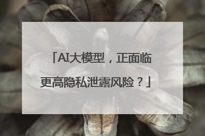 AI大模型，正面临更高隐私泄露风险？
