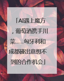 AI遇上魔方，葡萄酒携手川菜……匈牙利和成都碰出意想不到的合作机会
