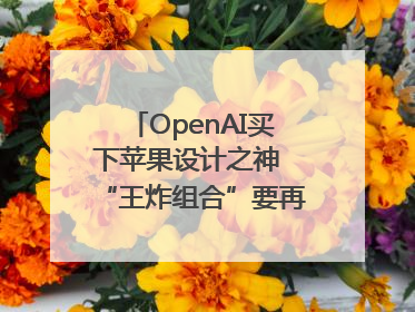 OpenAI买下苹果设计之神 “王炸组合”要再造一个苹果？