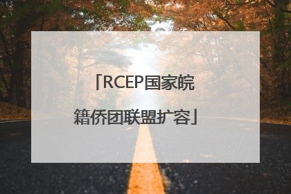 RCEP国家皖籍侨团联盟扩容